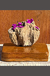 APHRODITE'S DIADEM