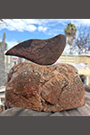 SANDSTONE DOVE