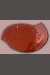 TWO PIPESTONE PLATTERS